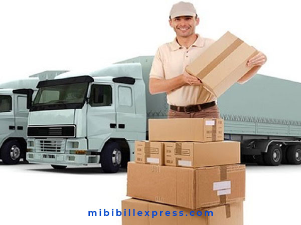 Chuyển phát hàng hóa tiết kiệm